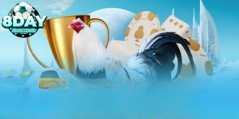 Cách chọn kèo cược phù hợp