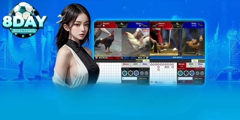 Quang79 thắng 500 triệu đá gà Thomo qua trang 8Day 2 Quang79 thắng 500 triệu đá gà Thomo từ chiến thuật - Chiến thắng không ngẫu nhiên